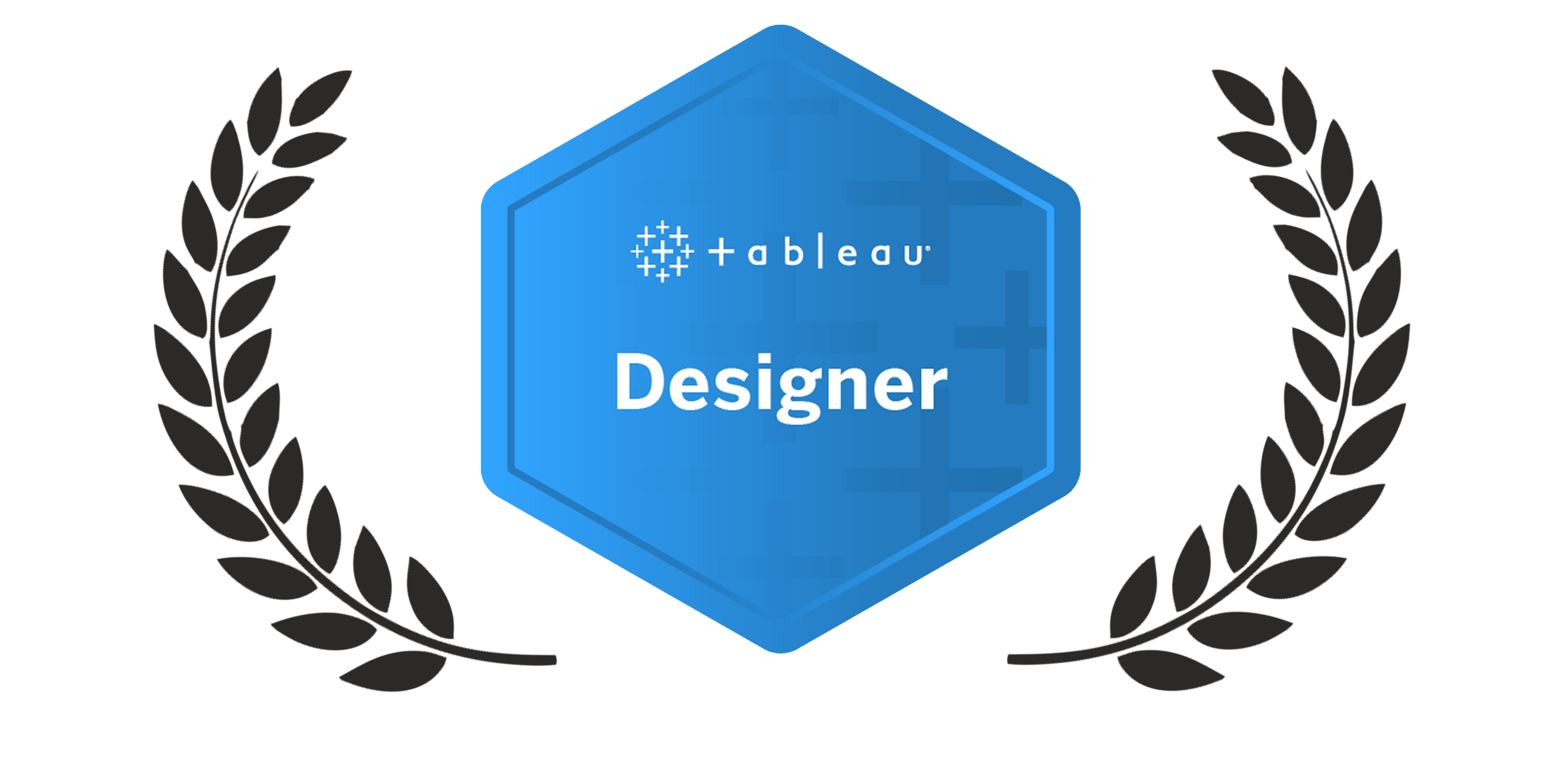 Tableau Designer credential shield